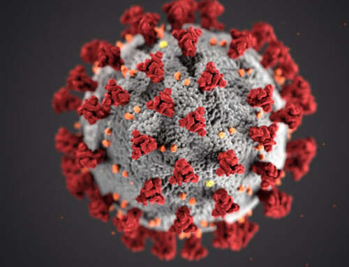 Statement of ISGE on CORONA Virus – UPDATED