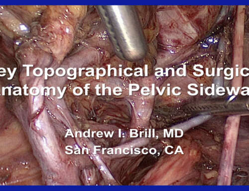 Key topographical and surgical anatomy of the pelvic sidewall