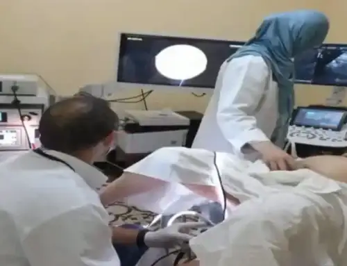 The symbiosis between ultrasound and hysteroscopy in cases of hysteroscopic myomectomy